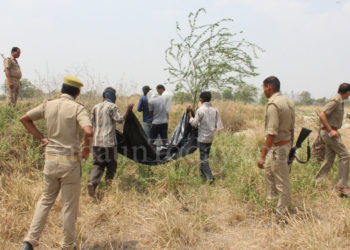 उझानी: जंगल में बरामद हुआ नरकंकाल, हत्या की आशंका
