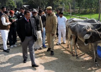डीएम ने किया पशुशालाओं का निरीक्षण, आवारा गोवंश छोड़ने वाले को भेजा जेल