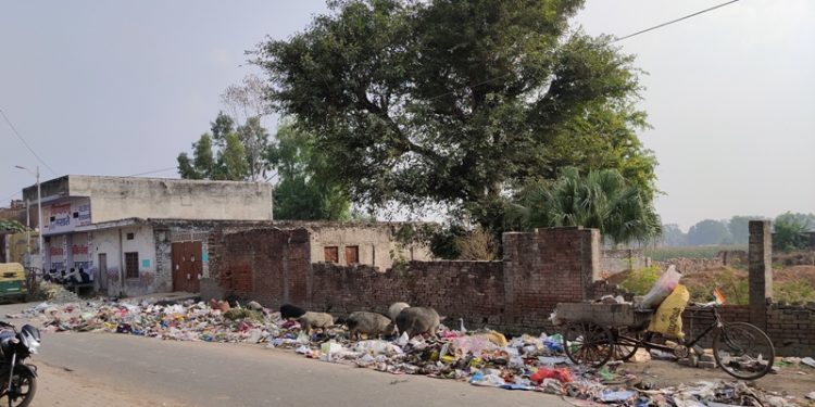 उझानी: त्योहार में भी शहरवासियों का गंदगी से नहीं छूटा पीछा