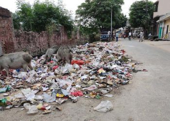 मंडलायुक्त साहब! यहाँ तो नगर पालिका ही करवा रही है गंदगी