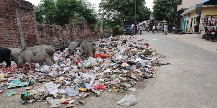 मंडलायुक्त साहब! यहाँ तो नगर पालिका ही करवा रही है गंदगी