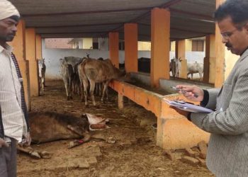 गौशाला का निरीक्षण करने पहुंचे एसडीएम, गायब मिले आधे गौवंश