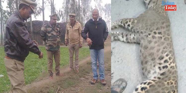 तेंदुए के साथ बर्बरता, ग्रामीणों पर दर्ज होगा मुकदमा