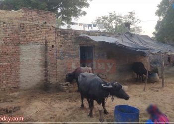 ग्राउंड रिपोर्ट: मुजरिया में युवती के साथ दुष्कर्म और आरोपी के परिवार को पीटने का आरोप