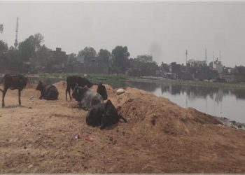 उझानी के तालाबों पर भू-माफिया की नजर, अब पाटने लगे धुबिया तालाब