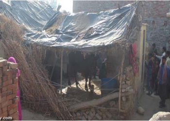 उझानी: किशोरी की गला दबाकर हत्या, भूसे के ढेर में मिली लाश