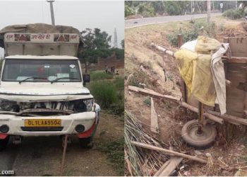 पिकअप की टक्कर में घोडा और बुग्गी चालक की मौत