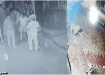 सनकी युवकों द्वारा कुत्ते को पीटने की घटना सीसीटीवी में हुई कैद, मुकदमा दर्ज