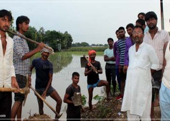 जल निकासी व्यवस्था ध्वस्त, मूसलाधार बारिश से डूबी फसल