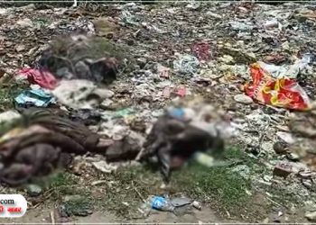 कांवड़ियों की राह में पड़े कुर्बानी के अवशेष