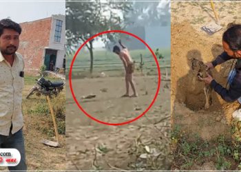 बदायूं में पत्थर से कुचलकर कुत्ते के बच्चे की हत्या, इंस्पेक्टर बोले- योगी जी मुकदमा दर्ज कराने नहीं आते