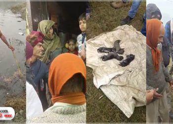 बेजुबान के साथ क्रूरता: महिला ने 9 पिल्लों को तालाब में फेंका, पांच की मौत, चार लापता