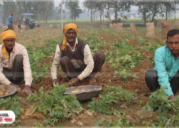 सुख चैन सब गायब, कड़ाके की ठंड में खेतों की रखवाली करने को मजबूर है हल्कू