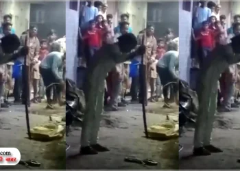 सांप को लाठी से पीटकर मारा, दो लोगों के खिलाफ केस दर्ज