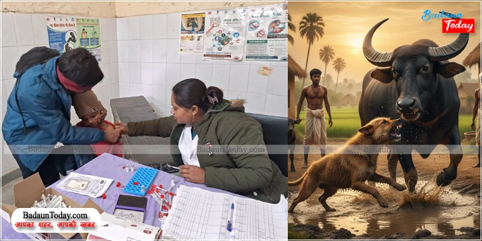 रेबीज संक्रमित भैंस की मौत से हड़कंप, बुजुर्ग की तेरहवीं में लोगों ने पिया था रायता, अब लगवा रहे इंजेक्शन