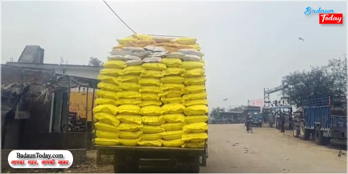 उझानी में यूरिया सप्लाई को लेकर सवाल, कृषि विभाग ने की जांच