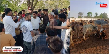 गोशाला में दो गौवंश की मौत, कई बीमार, अव्यवस्थाओं को लेकर आमने सामने आए प्रधान और एनजीओ