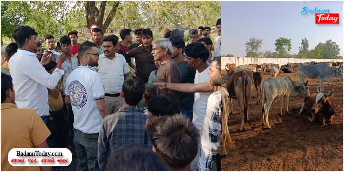 गोशाला में दो गौवंश की मौत, कई बीमार, अव्यवस्थाओं को लेकर आमने सामने आए प्रधान और एनजीओ