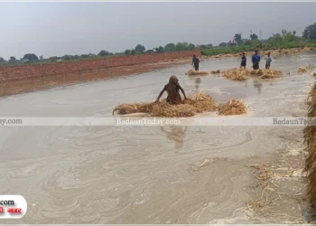 उझानी नाले का पानी बना आफत, 200 बीघा खेत डूबे, कितने इंजन की भाजपा सरकार से मिलेगी किसानों को राहत?